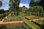 Gem&uuml;segarten