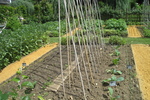 Gem&uuml;segarten