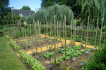 Gem&uuml;segarten