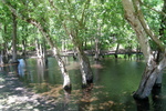 Le Marais aux Oiseaux