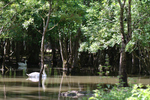 Le Marais aux Oiseaux