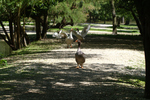 Le Marais aux Oiseaux