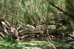 Le Marais aux Oiseaux