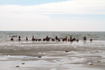 Surfschule