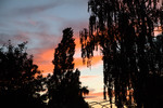 Abendstimmung
