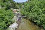 Tarnon
