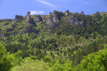 Tarnschlucht