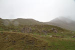 Col du Mont Cenis