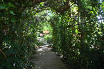 Giardino Botanico