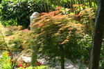 Giardino Botanico