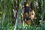 Giardino Botanico