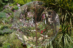 Giardino Botanico