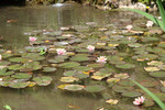 Giardino Botanico