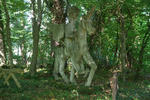 Bruno-Weber-Skulpturenpark