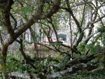 Abbaye de Beauport