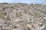 Cap de la Ch&egrave;vre