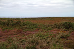 Cap de la Ch&egrave;vre