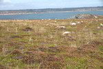 Pointe de Dinan