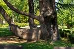 Stadtpark