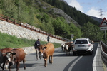 Almabtrieb