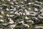 Puy de D&ocirc;me