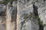 Bergsteiger