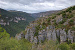 Gorges du Tarn