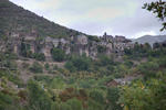 Revens