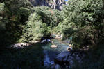 Sorgue