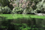 Sorgue