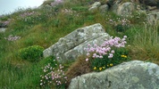 Le gouffre