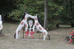 Jardin Humoristique