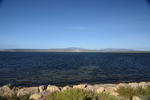 Leucate