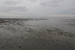 Nordsee