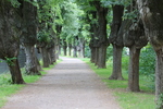 Weimar