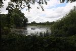 Teich