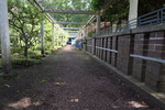 Philosophischer Garten