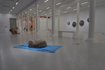 Patricia Piccinini