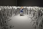 Patricia Piccinini - The Field