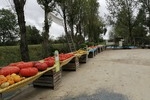 l'Oasis de la Ros&eacute;e