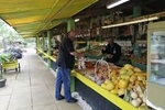 l'Oasis de la Ros&eacute;e