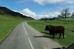 Col de Marie-Blanque