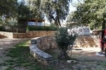 Le Cannet-des-Maures
