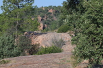 Massif de l'Esterel