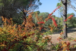 Parc de la chapelle Cocteu
