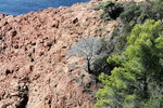 Corniche d'Or