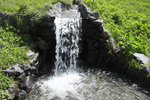 Botanischer Garten