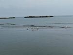 Strand bei Rimini