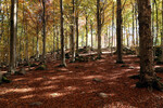 Monte Amiata