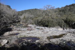 Siagne (Fluss)